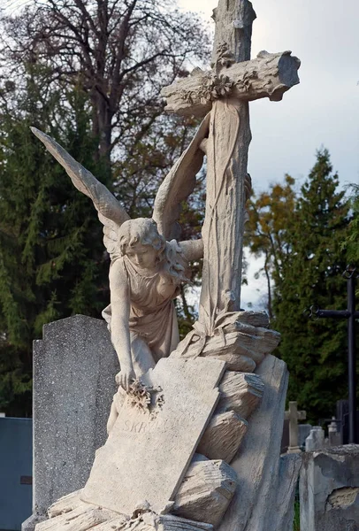 Hrobka Socha Anděla Kladoucí Květinu Náhrobek Hřbitově Lychakiv Lvově Ukrajina — Stock fotografie
