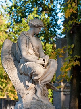 Lviv, Ukrayna 'daki Lychakiv mezarlığında oturan melek heykeli.