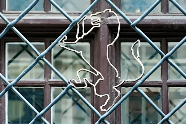 Decorative Window Frame Lion Outline Lviv Ukraine — Stock Photo, Image