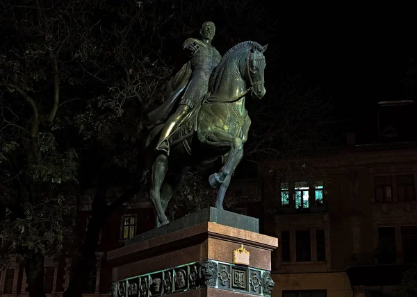 Nachtansicht Auf Das Denkmal Für Daniel Von Galizien Lemberg Ukraine — Stockfoto