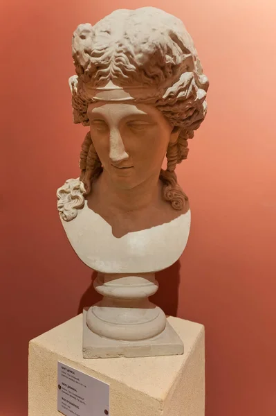 Copia Gesso Del Busto Adonis Nel Museo Arte Occidentale Orientale — Foto Stock