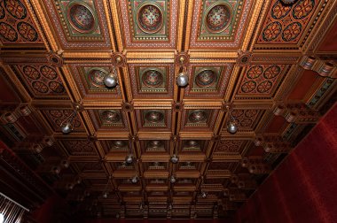 Chernivtsi Ulusal Üniversitesi 'nin Caisson tavanı, Ukrayna' nın Chernivtsi kentindeki Bukovinian ve Dalmaçyalı Metropolitanların eski ikametgahı.