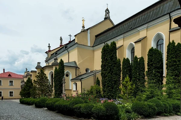 Sts Peter Und Paul Kathedrale Kamjanez Podilskyi Ukraine — Stockfoto