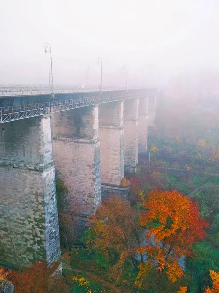 Bridge Old Town Canyon Dull Foggy Day Kamenets Podolsky Ukraine — ストック写真