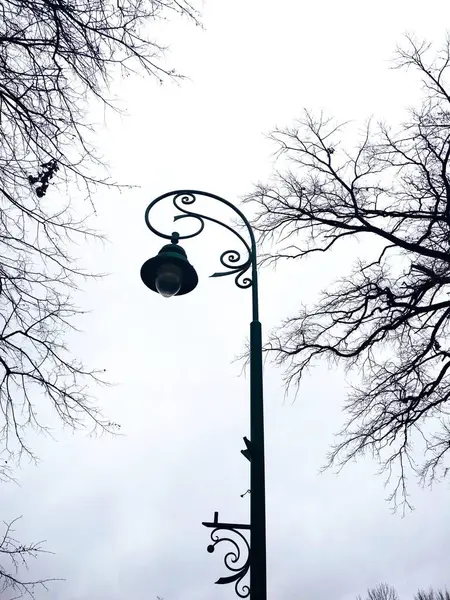 在寒冷的冬日 在阴天的背景下 可以看到一个孤零零的街灯 — 图库照片