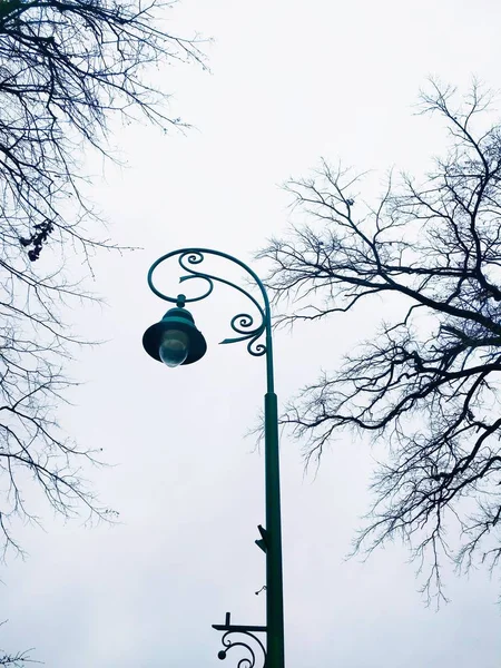 Nézet Egy Magányos Közvilágítás Hátterében Felhős Egy Téli Unalmas Napon — Stock Fotó