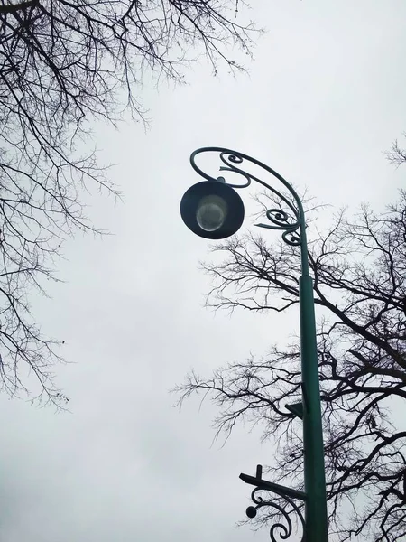 Vista Uma Luz Rua Sozinho Contra Fundo Céu Nublado Dia — Fotografia de Stock