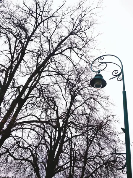 View Alone Streetlight Background Cloudy Sky Winter Dull Day — Stock Photo, Image