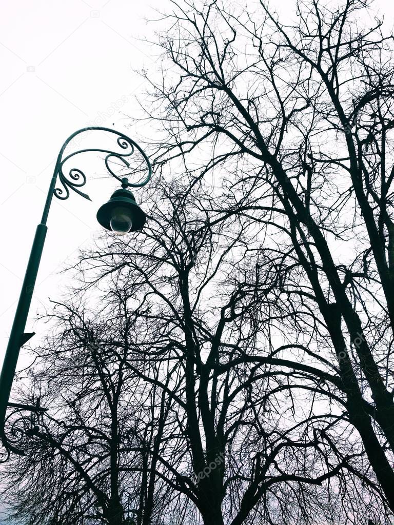 View of an alone streetlight against the background of the cloudy sky on a winter dull day 