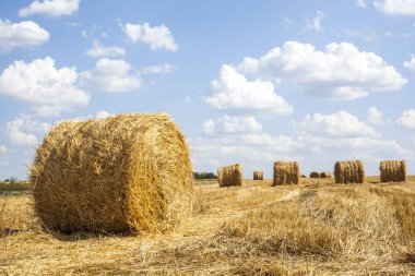 samanlıkta saman balyası