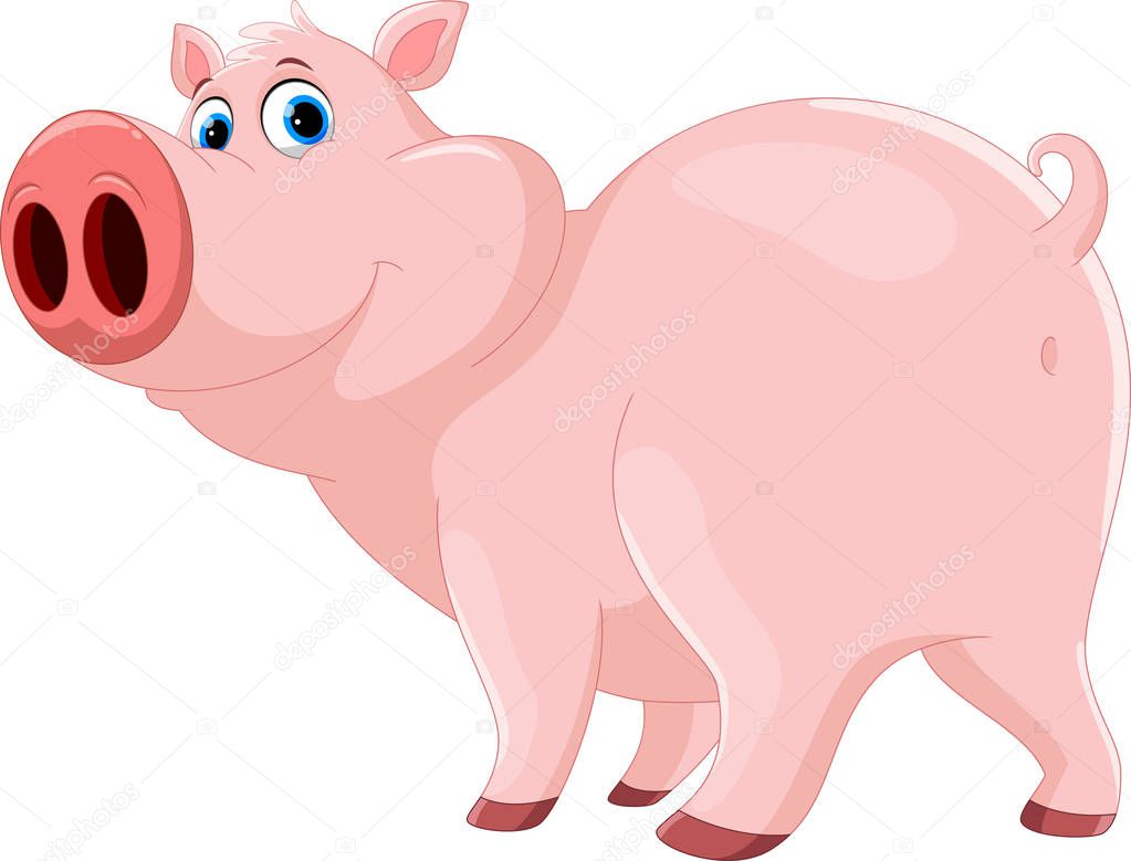 Cute pig cartoon