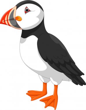 Atlantik martı çizgi film