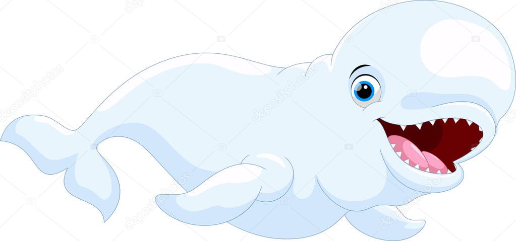 Cute cartoon Beluga whale