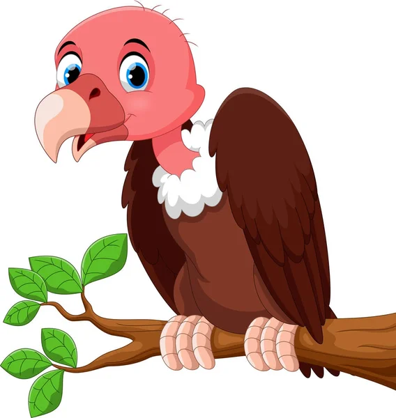 Keselyű aranyos madár rajzfilm a fa ága — Stock Vector