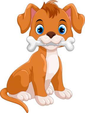 Beyaz arka plan üzerinde izole kemik ısırma sevimli küçük köpek 
