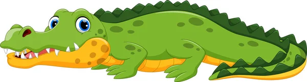 Vector Illustration Crocodile Cartoon Isolated White Background — Stock Vector