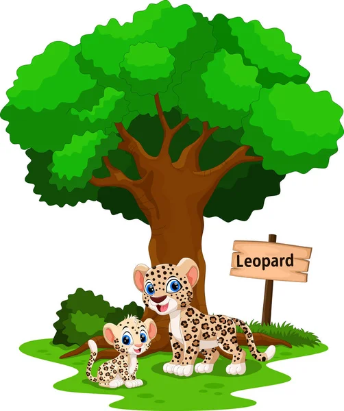 Divertido Leopardo Bajo Árbol Sombreado Con Una Señal Identidad — Archivo Imágenes Vectoriales