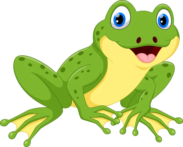 可爱的青蛙卡通白色背景上分离向量插图 — 图库矢量图片