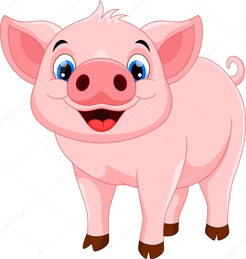 Vector illustration of cute pig cartoon isolated on white background 