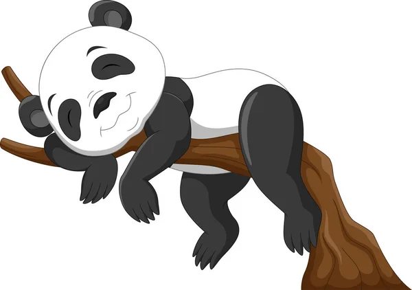 Cute Baby Panda Sleeping Branch — Stock Vector