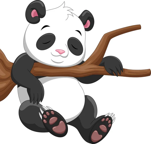 Cute Baby Panda Sleeping Branch — Stock Vector