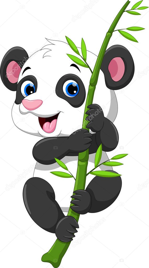 Cute baby panda hanging on a bamboo tree 