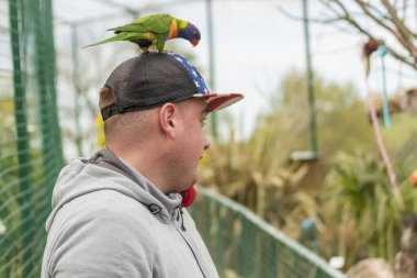 Genç adam hayvanat bahçesinde eğleniyor. Kuşlarla arkadaş olmak. Hayvanlarla gülüyor ve eğleniyoruz..