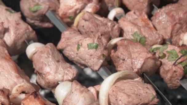 Meat on skewers roasted on outdoor grill — Stock Video