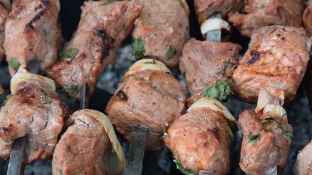 Carne asada en parrilla — Vídeos de Stock