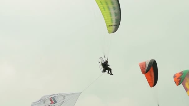 Verschillende paragliders uitvoeren in de lucht — Stockvideo