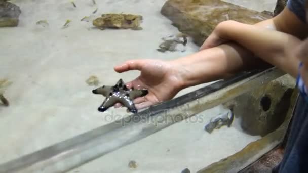 Gente tocando estrellas de mar en el oceanario — Vídeo de stock