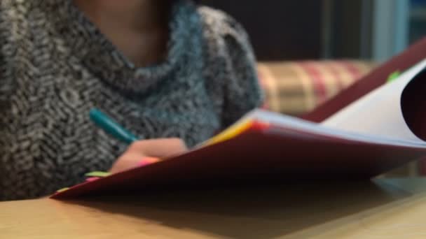 Femme travaillant avec des documents d'affaires dans un café — Video