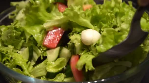 Sebze salatası karıştırma — Stok video