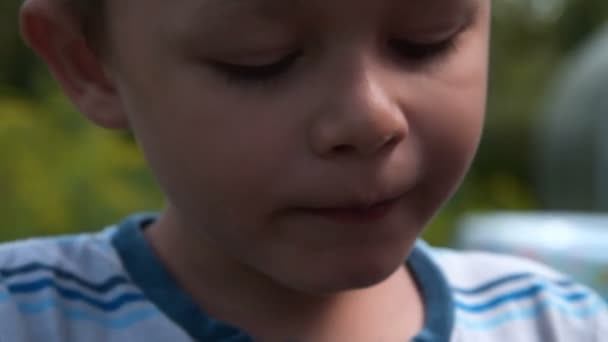 Niño comiendo bayas al aire libre — Vídeos de Stock