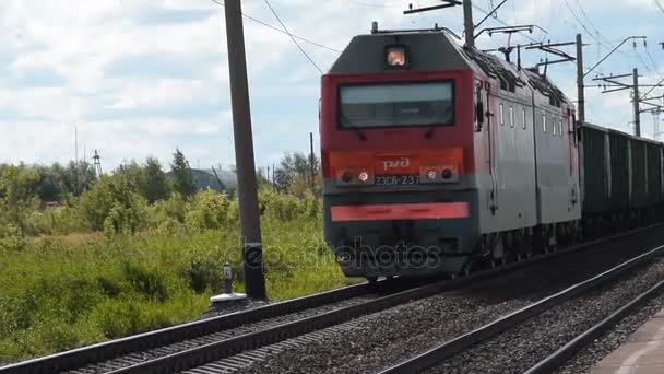 Cargo train in the countryside — Stock Video