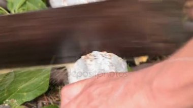 Yakacak odun için eski Ağaç kesme tezgahlar