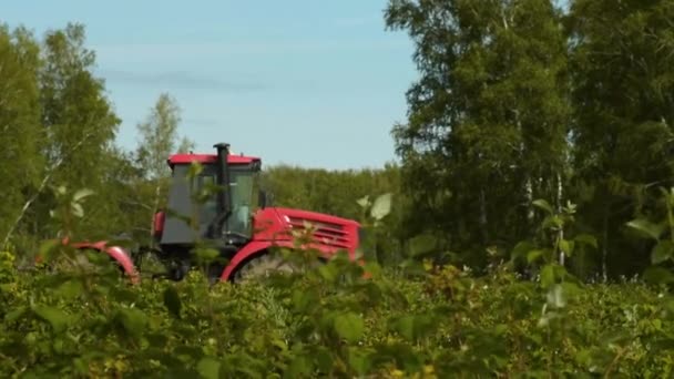 Traktor plöjningsceremonin fältet — Stockvideo
