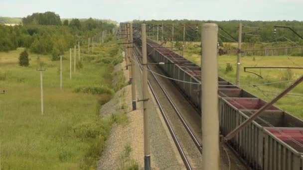 Empty rail cars of moving cargo train in the country — 비디오