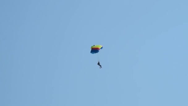 Skydiver flying down — Stok video