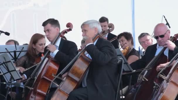 Violoncelo e violino na orquestra — Vídeo de Stock