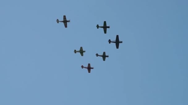 Team of light engine planes in the sky — 비디오