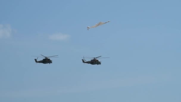 Deux hélicoptères militaires — Video