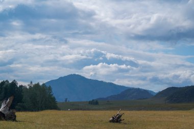 Resimli dağ manzarası. Dağ nehirleri ve güzel gökyüzü