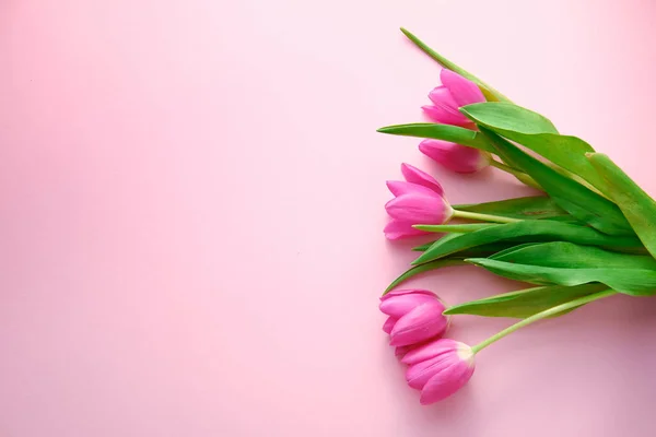 Голландские тюльпаны на розовом фоне сверху вниз вид с копирайтом слева, праздничная концепция, любовь — стоковое фото