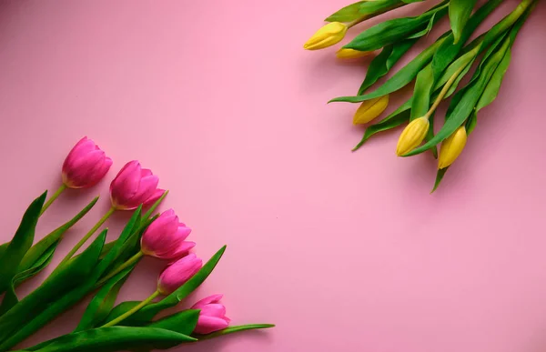 Голландские тюльпаны на розовый вид сверху с копирайтом в середине, праздничная концепция — стоковое фото