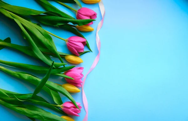 Разноцветные цветы с розовой лентой на голубом фоне — стоковое фото