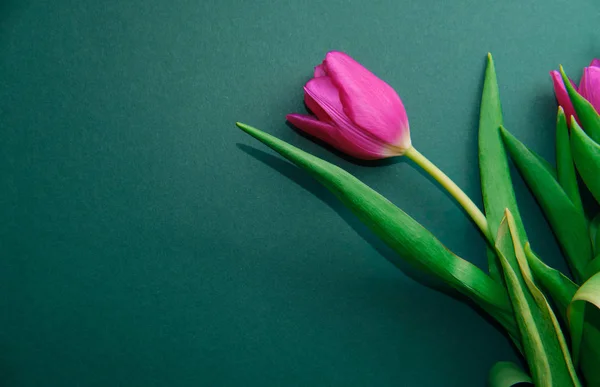 Букет, связанный розовой лентой на зеленом фоне, пространство для копирования, оставленное для текста, поздравления — стоковое фото