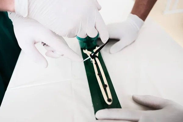 Chirurg ruce jsou vázání uzel během školení pro studenty, černobílé muže a ženy ruce v záběru Royalty Free Stock Obrázky