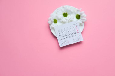 Pembe arka plan sevgililer günü konseptinde takvimi olan papatya çiçekleri