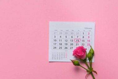 Takvim sayfasında uzanan tek bir gül çiçeği Şubat 2020, Valentin, sevgililer günü kartı konsepti, takvim, pembe arkaplan, düz alan, boş